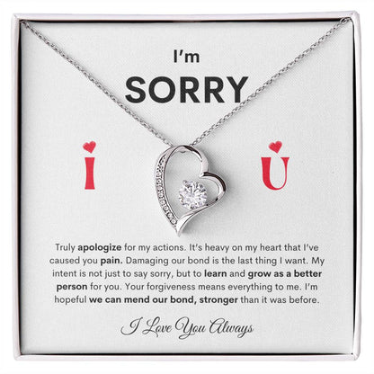 I'm SORRY Heart Pendant Necklace