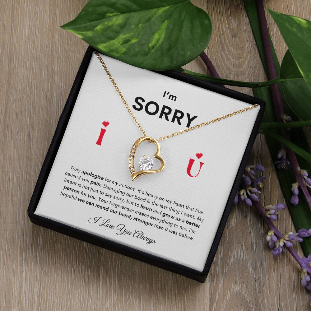 I'm SORRY Heart Pendant Necklace